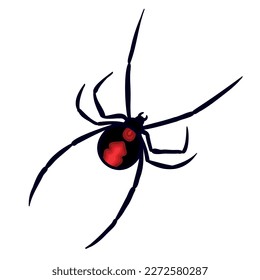 Red back spider Aussie fauna color vector character. Upper view figure. Full body arachnid on white. Simple cartoon style illustration