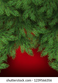 Red background with Christmas tree branches. Festive Xmas template of green branch of pine. EPS 10