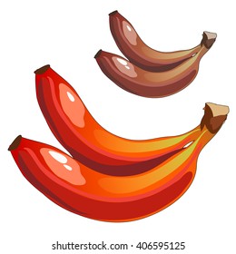 Red bananas. Vector illustration.