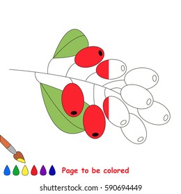 Red Barberry in vector to be traced, restore dashed line and color the picture, the simple visual game with easy education game level for preschool kids.