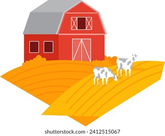 Red barn with gray roof on yellow farm field, three white cows grazing. Rural landscape with livestock, farm life vector illustration.