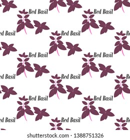 Red basil seamless pattern on the white background. Vector illustration