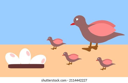 Red beak brown bird vector icon, eggs and chicks. Animal theme and love the environment