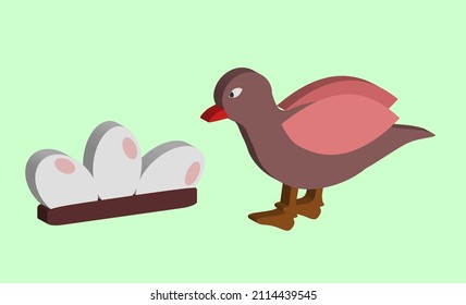 Red beak and egg brown bird vector icon. Animal theme and love the environment.