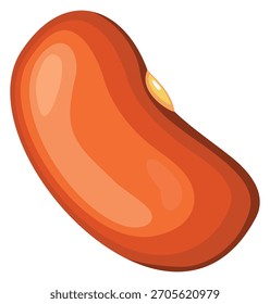 Un frijol rojo se muestra en un estilo caricaturesco