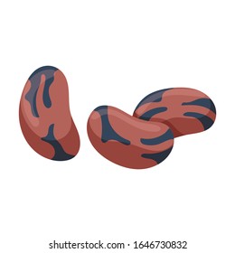 Red of bean vector icon.Cartoon vector icon isolated on white background red of bean.