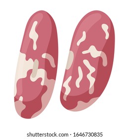 Icono vectorial de alubias.Icono vectorial de caricaturas aislado en fondo blanco rojo de judías.