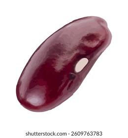 Red bean vector illustration on white background