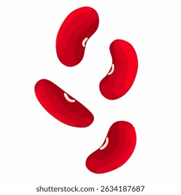 Red bean vector on white background. Beans that contain lots of protein are very good for body health.