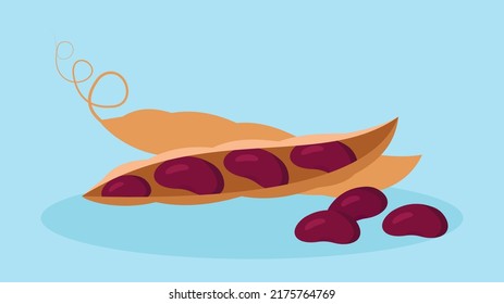 Rote Bohnen, Bohnenstöcke, Illustration