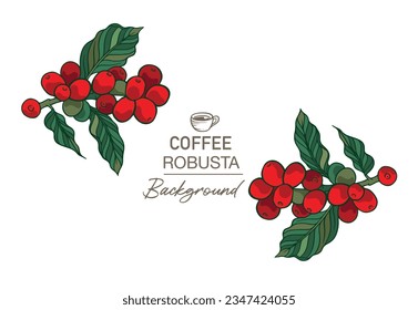 Red beans coffee tree of vector colour illustration drawing for poster, banner promotion, menu, cover, brochure, flyer, label packaging, sticker, card, art print, shop, cafe, advertising. farm berry 
