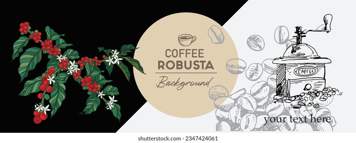 Red beans coffee tree of vector colour illustration drawing for poster, banner promotion, menu, cover, brochure, flyer, label packaging, sticker, card, art print, shop, cafe, advertising. farm berry 