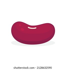 Red beans isolated on white background. Vector illustration of vegetable