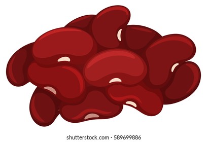 Red beans in one pile illustration