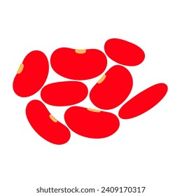 Red beans vector on white background. Nuts which are high in protein are very good for body health.