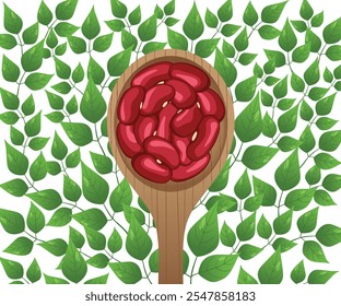 Red beans in wood spoon on leaves isolated on white background.