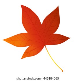 Red beautiful autumn maple leaf vector illustration,  isolated on white background