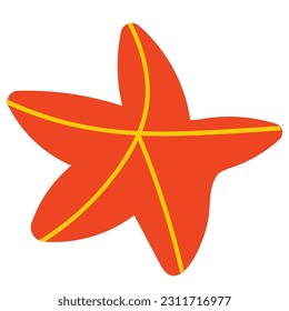 red beautiful starfish vector illustration
