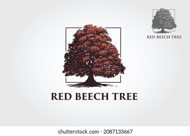 Red Beech Tree Logo Template. This beautiful tree is a symbol of life, beauty, growth, strength, and good health. 