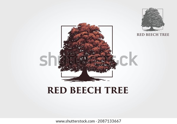 Red Beech\
Tree Logo Template. This beautiful tree is a symbol of life,\
beauty, growth, strength, and good health.\
