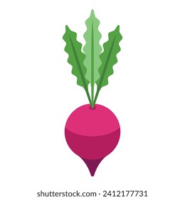 Red beet food icon isometric vector. Borsch ingredient. Cook meal