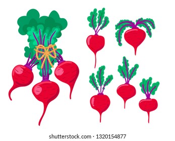 Red beet. Green leaves on top of beets. Fresh vegetables from the garden for cooking healthy food.