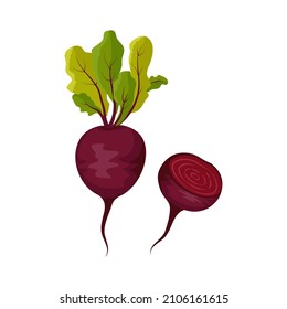 Red beet icon. Whole healthy vegetables, half and green leaves of tops. Delicious food for salad, soup, borscht. Vector flat illustration