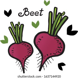 Red beet isolated on white background flat vector illustration 