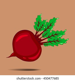 RED Beet. Isolated vegetables on background