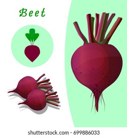 Red beet on the basis of contrasting, icon beet