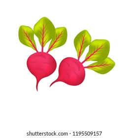 Red beet on white background
