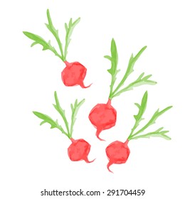 Red beet watercolor
