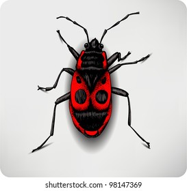 Red beetle, hand-drawing. Vector illustration.