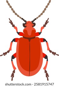 Red Beetle Insect Animal Illustration Isolated on White Background