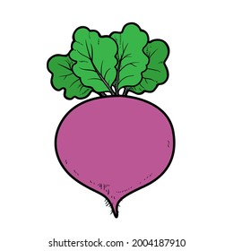Red beetroot color variation for coloring page isolated on white