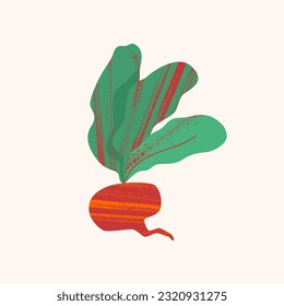 Red beetroot with foliage in abstract style with textures. Vector illustration of  vegetable on a light background in flat style. Сoncept of gardening and healthy eating.