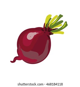 Red beetroot whole isolated on white background. Vector Illustration.