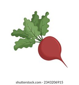 Abejas rojas con hojas verdes. Verduras naturales ecológicamente puras cultivadas en el huerto. Ilustración vectorial plana.