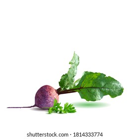 Red beets with parsley low poly. Fresh, nutritious, tasty table beet. Elements for label design. Vector illustration. Red beets with parsley in triangulation technique.