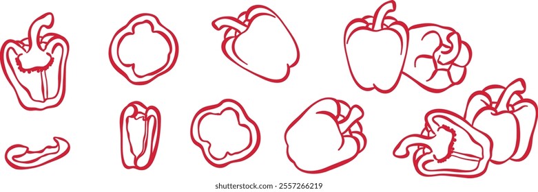 Red bell paprika or pepper line art vector illustration, cartoon food doodle set, isolated