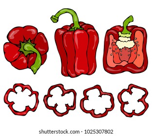 Red Bell Peper Set. Half of Sweet Paprika and Rings of Pepper Cuts. Fresh Ripe Raw Vegetables. Healthy Vegan Cuisine. Vector Illustration Hand Draw. Savoyar Doodle Style.