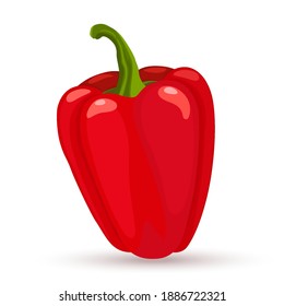 Red bell pepper, flat style icon. sweet pepper on white background. Vector flat design illustration.