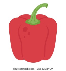 Red Bell Pepper Hand Drawn Illustration on White Background