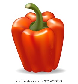 Red bell pepper, healthy food and object for design and game industry