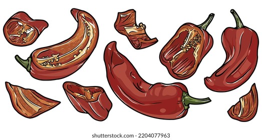 Red bell pepper isolated on white cartoon illustration collection