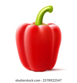 Red bell pepper isolated on white background, sweet paprika, vegetable, healthy food, spice. Sweet Bulgarian Bell Pepper. Realistic 3D effect, vector illustration. EPS10