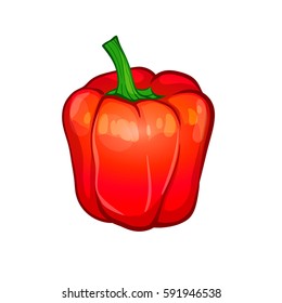 red bell pepper isolated on white background. vector illustration, part of collection