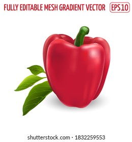 Red bell pepper with leaves on white background.