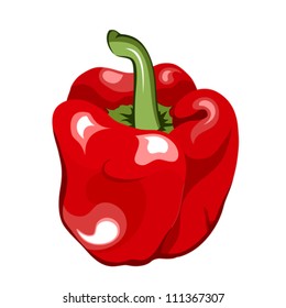 Red bell pepper on white, vector illustration