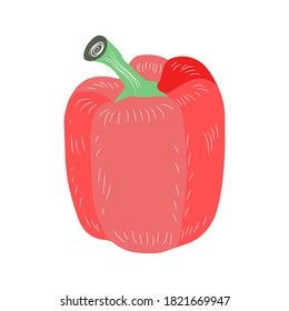 Red bell pepper on a white background. Vector element for design. Autumn vegetables.